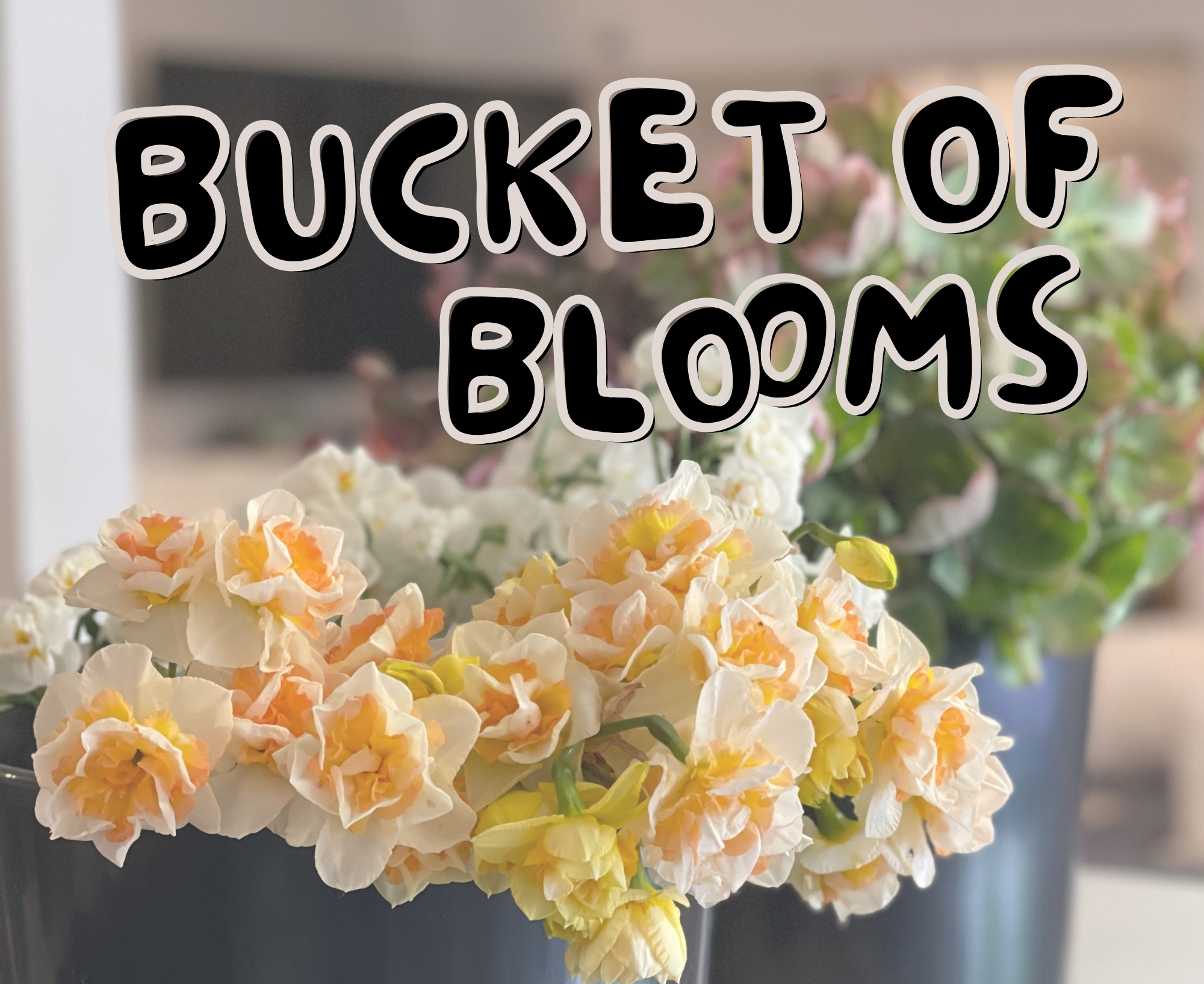 Bucket of Blooms (For DIYer's, Small Events, and Parties) thumbnail