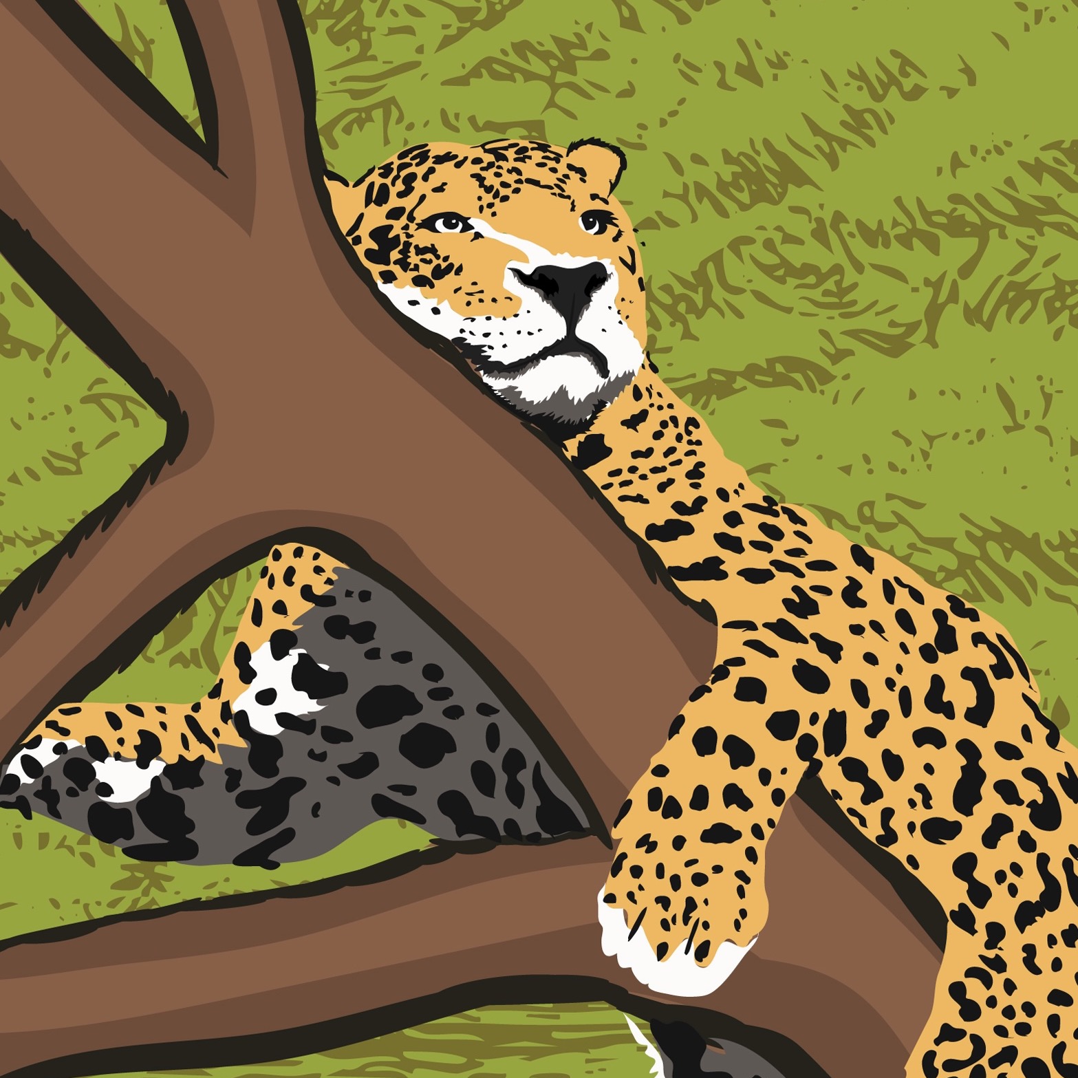 REWILDING JAGUARS FROM ARIZONA TO ARGENTINA thumbnail