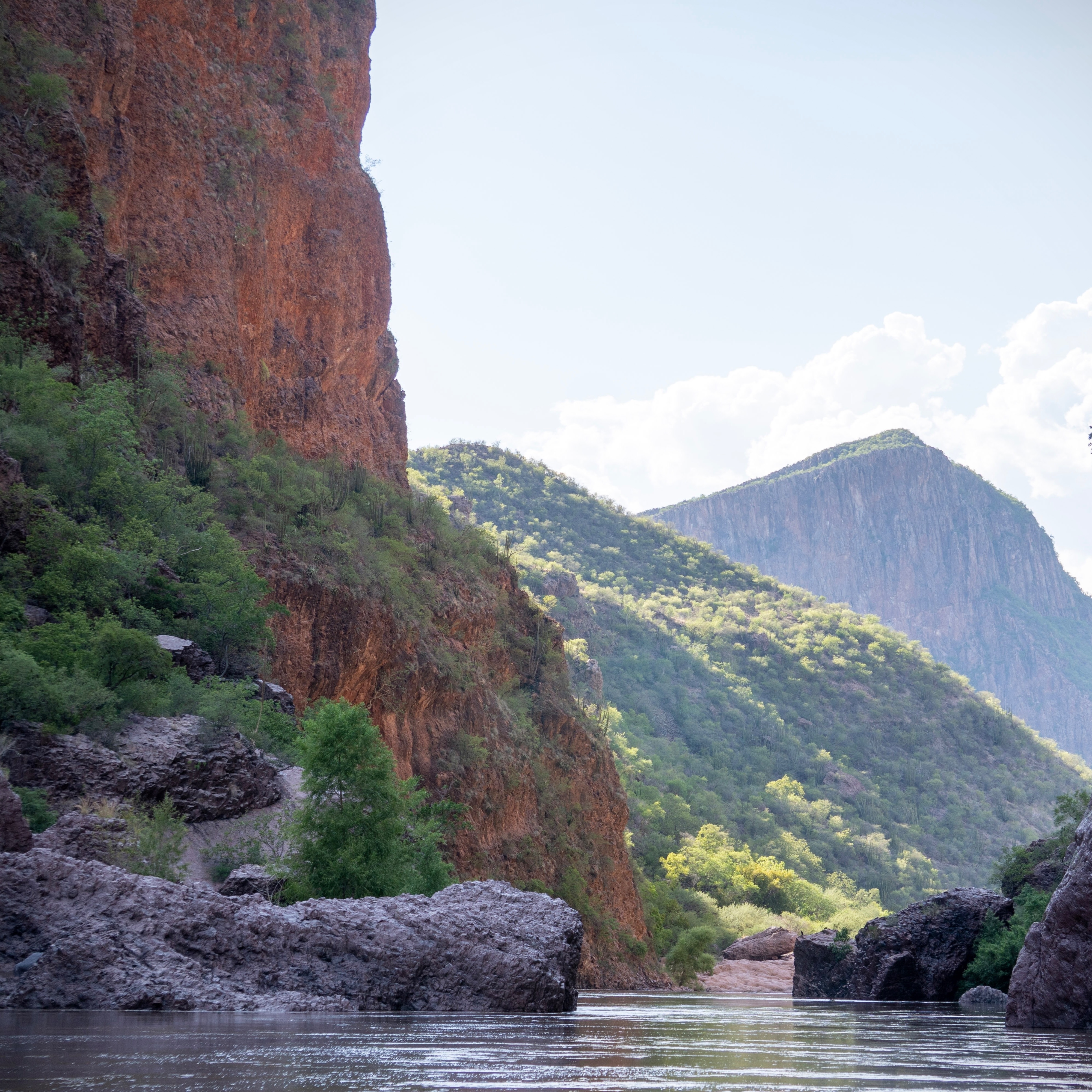 WHERE RIVERS ROAR AND JAGUARS ROAM thumbnail