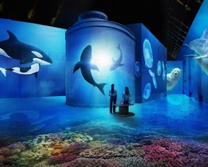 Fabrique des Lumières: The Sea thumbnail