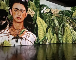 Frida Kahlo Exhibition - VR Experience thumbnail