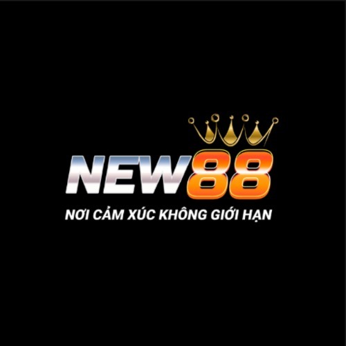 NEW88 thumbnail