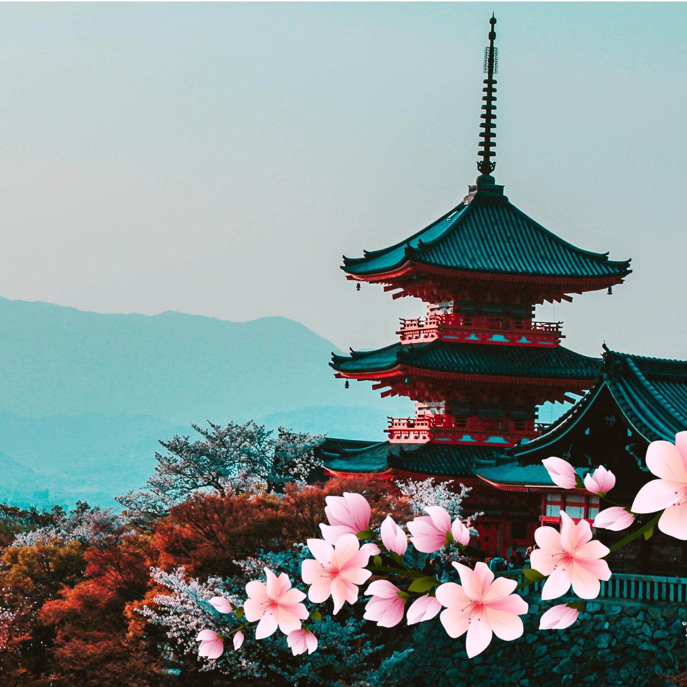 AGENDAR UNA REUNIÓN  thumbnail