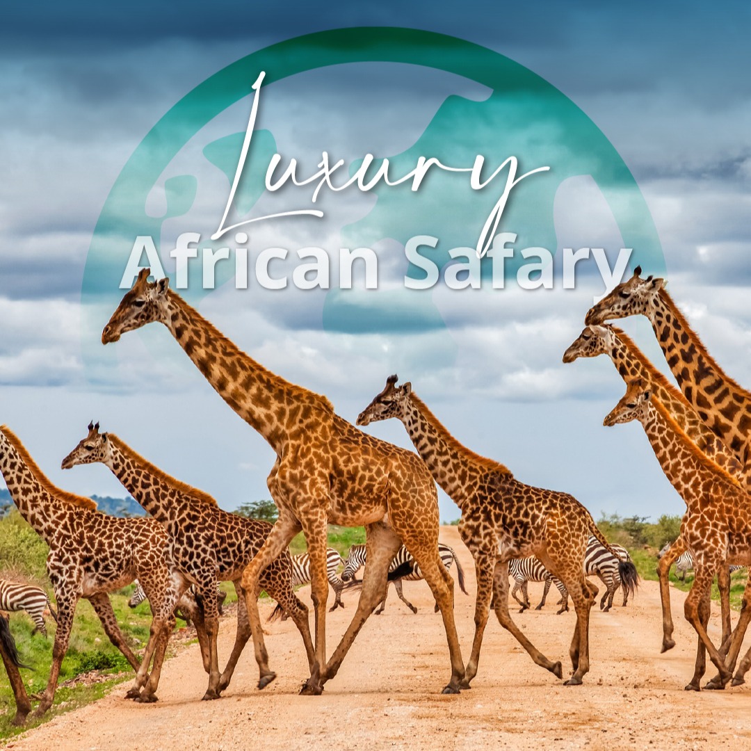 Contactanos vía Whatsapp thumbnail