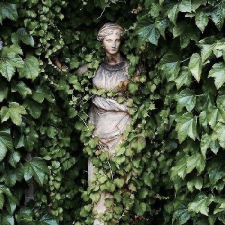 Di cosas en anónimo  thumbnail