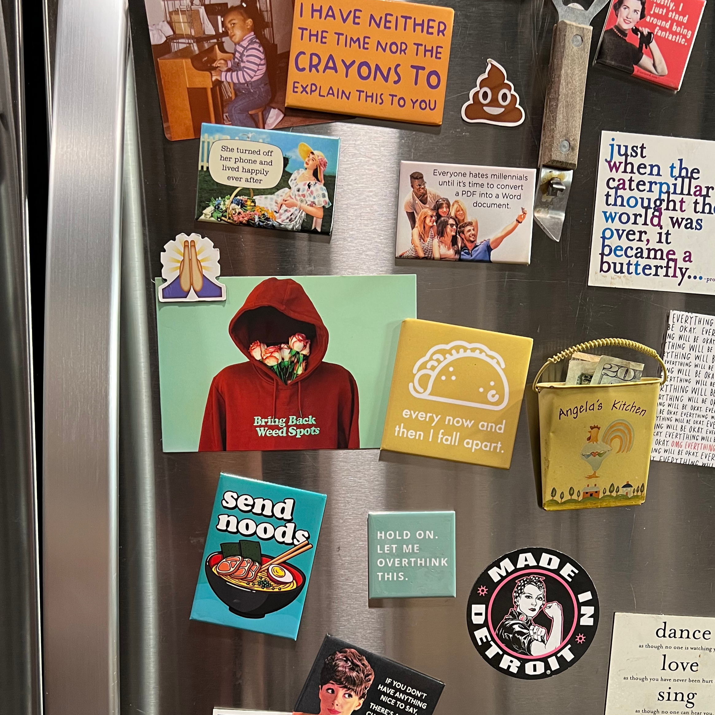 Fridge & Freezer Organization thumbnail