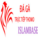 @dagaislam · Đá Gà Trực Tiếp Thomo thumbnail