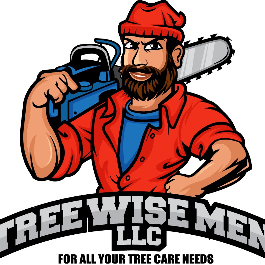Tree Wise Men LLC | Youtube thumbnail
