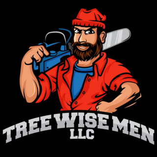 Tree Wise Men LLC on monster.com thumbnail