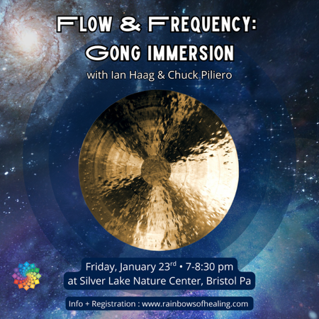 1/28  Flow & Frequency - Gong Immersion  thumbnail