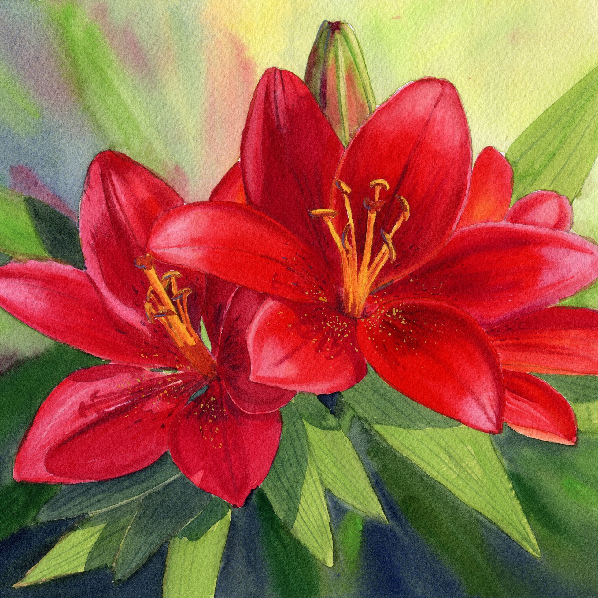 "Red Velvet" 8x10 original watercolor painting. Framed thumbnail