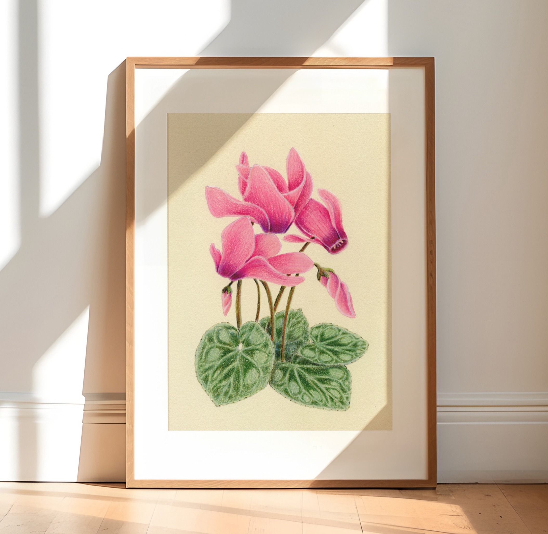 Prints thumbnail