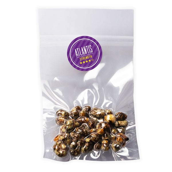 Buy Atlantis Magic Truffles (15 grams) - Mushroom Storefront thumbnail