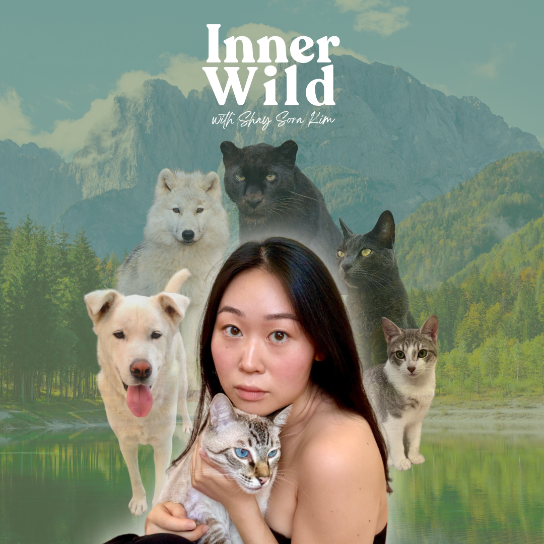 Apply for a pet reading & a chance to come on the show! thumbnail