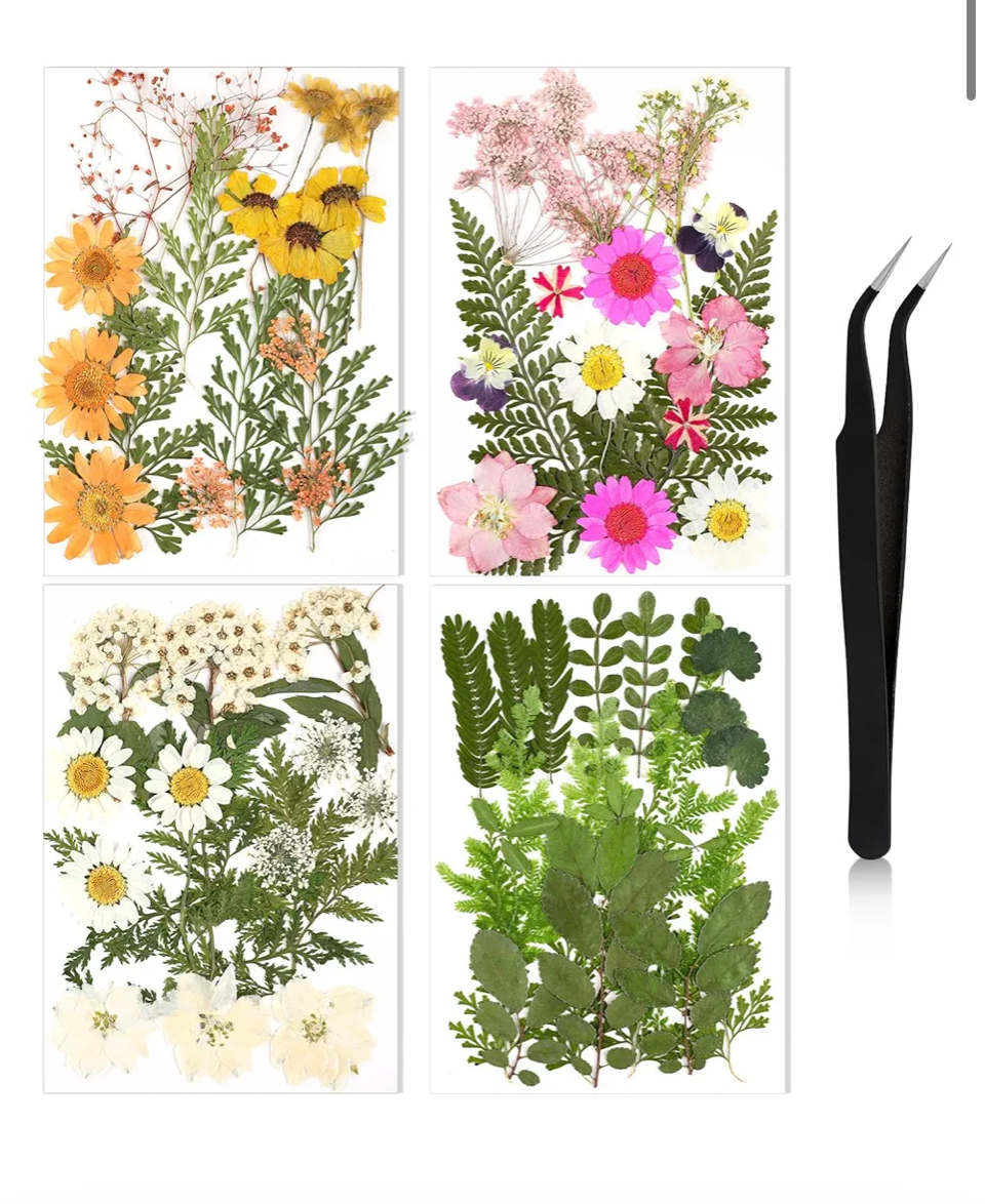 Amazon.com: Nuanchu Pressed Flowers Bulk Dried Flower for Crafts, Dried Wildflowers Leave Natural with Tweezer for Resin Mold Scrapbooking Nail Soap Making DIY(Fresh Style,Elegant Color) : Home & Kitchen thumbnail