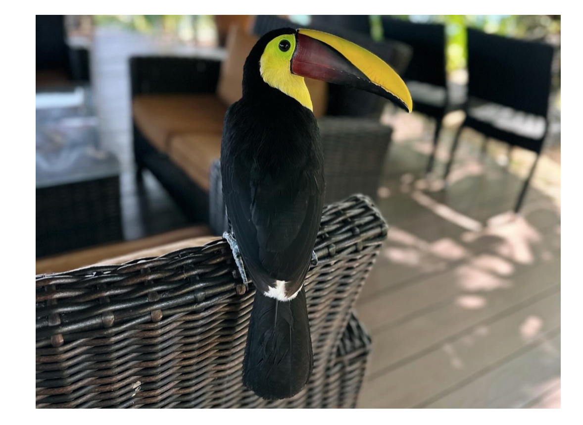 5 Reasons to Visit Panama  thumbnail