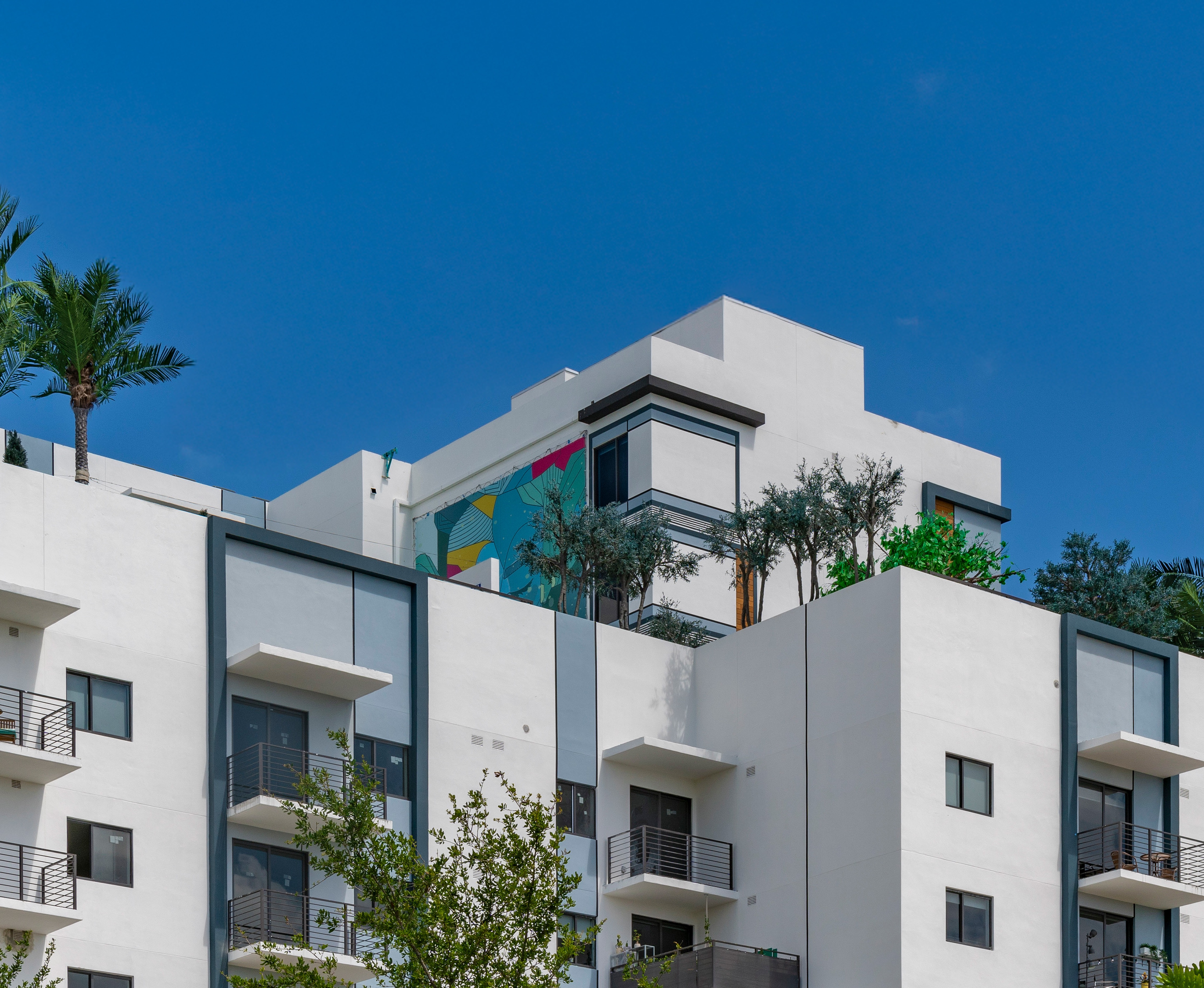 Fotografía thumbnail