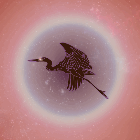 COMING HOME - WEEKLY MEDITATION  thumbnail