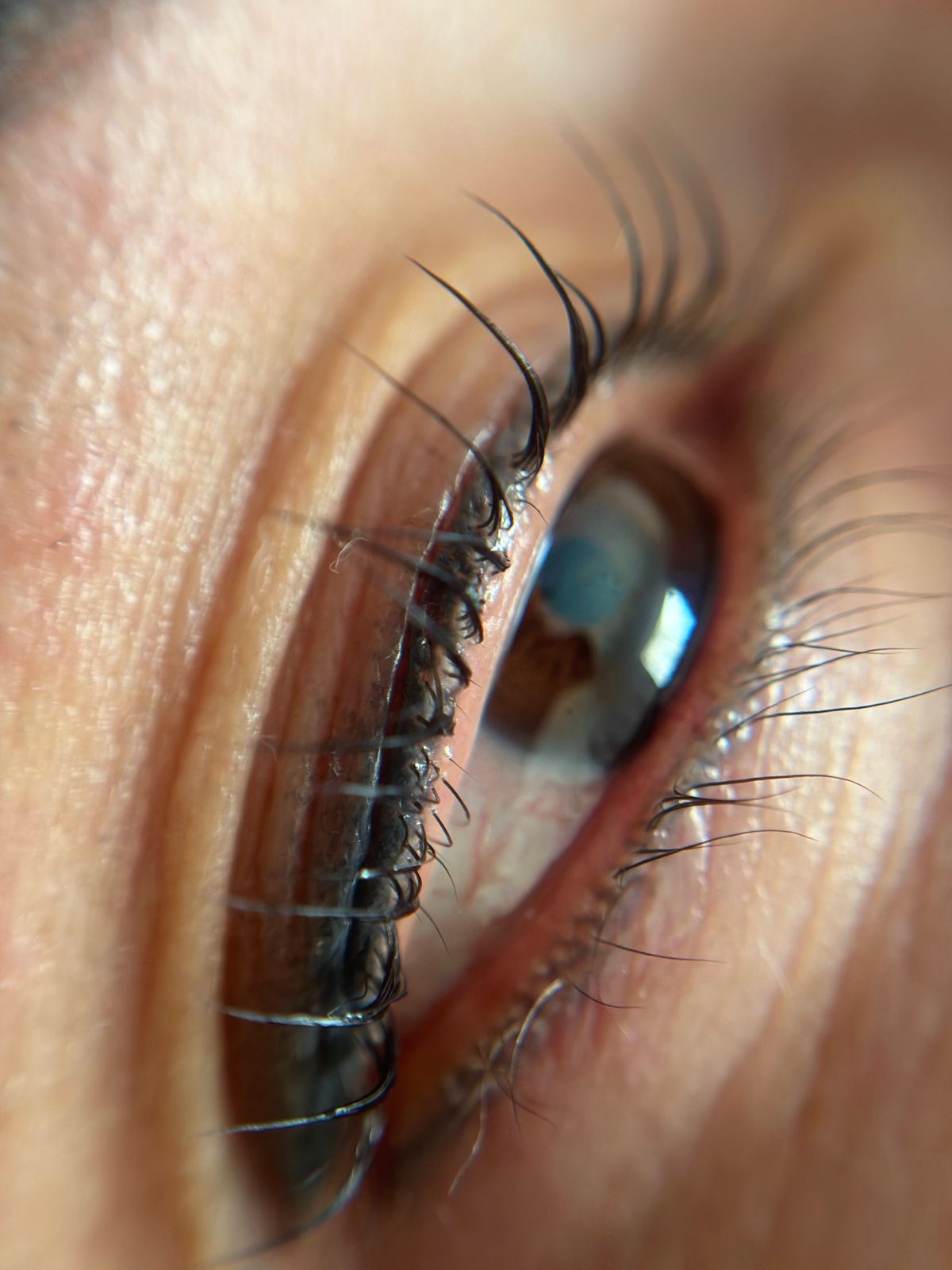 Lash Lifiting  thumbnail