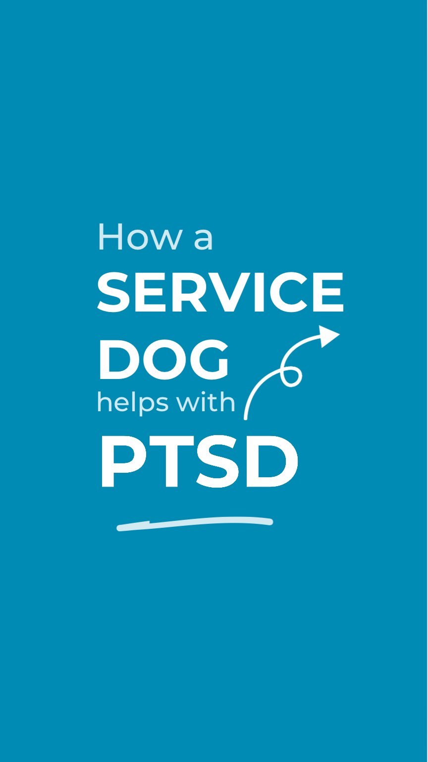 Comment “service dogs for PTSD” to learn more or DM.

#ServiceDogsSaveLives performing incredible tasks that mitigate sy