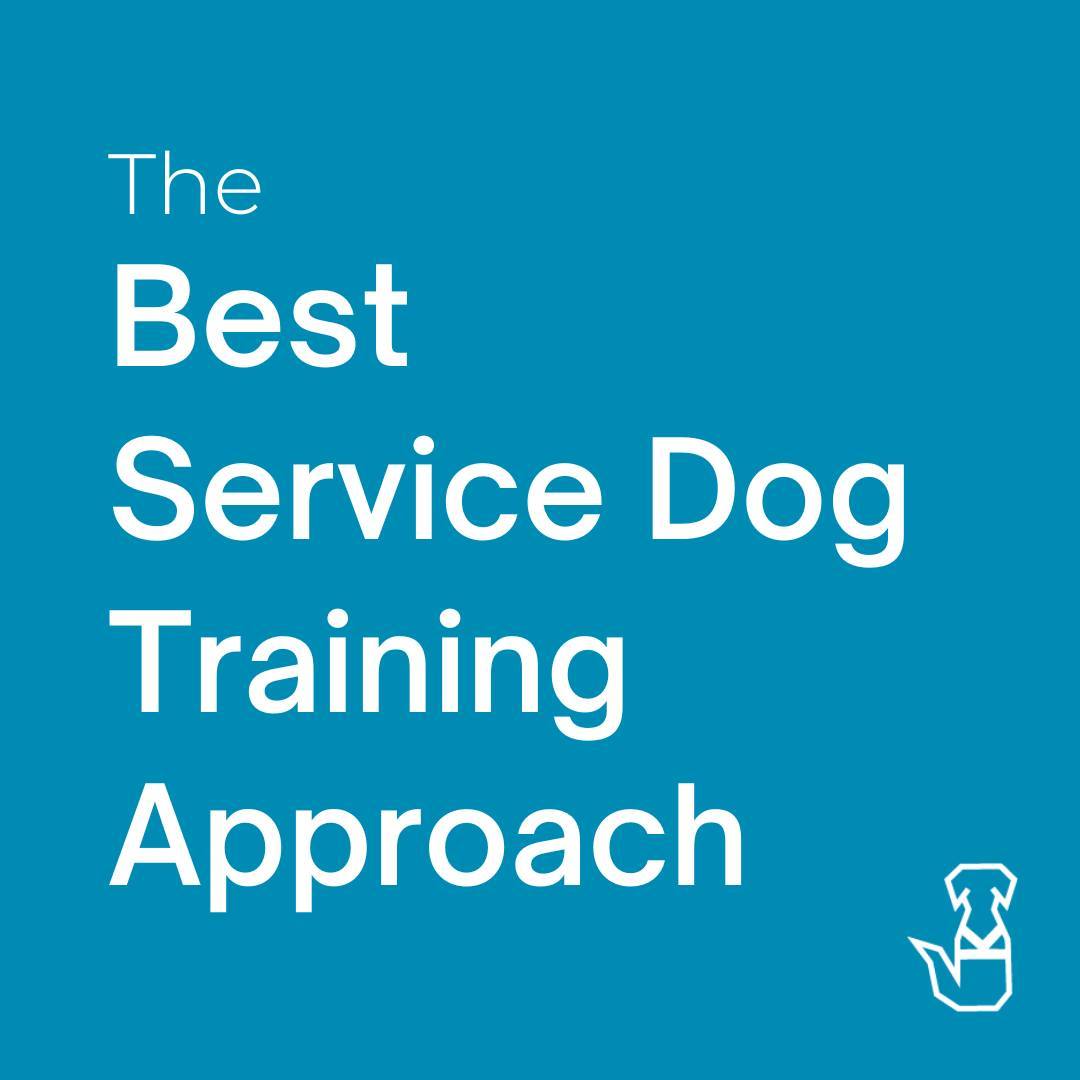 Exclusively #PositiveDogTraining and how we use it to train 25% more efficiently and effectively and 100% more enjoyably