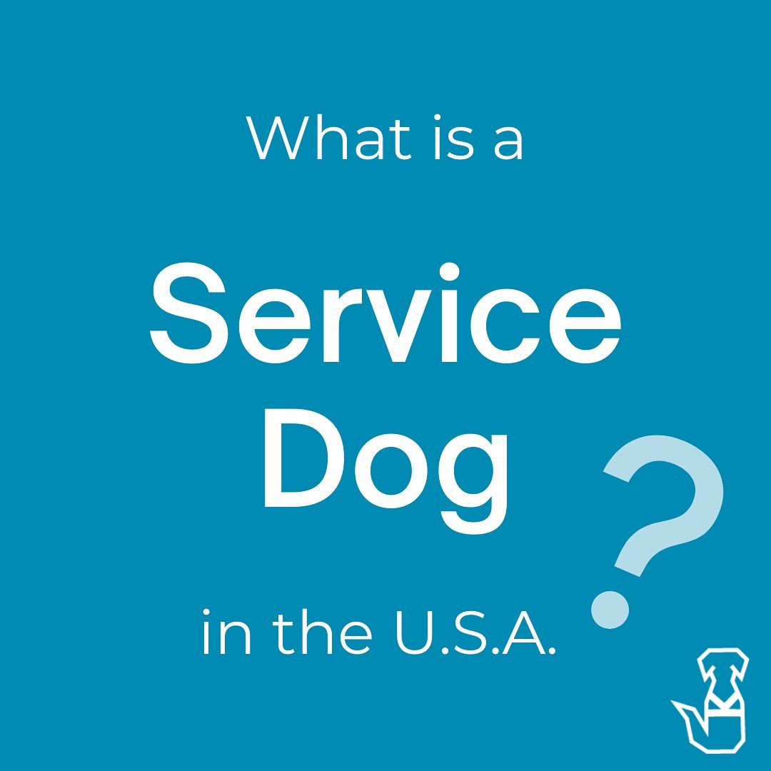 What is a #ServiceDog in the U.S.A? 
Even most dog trainers don’t know. 😱

Follow @TailsForWonderland to learn more.

#S