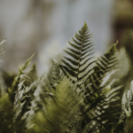 Visit my website thumbnail