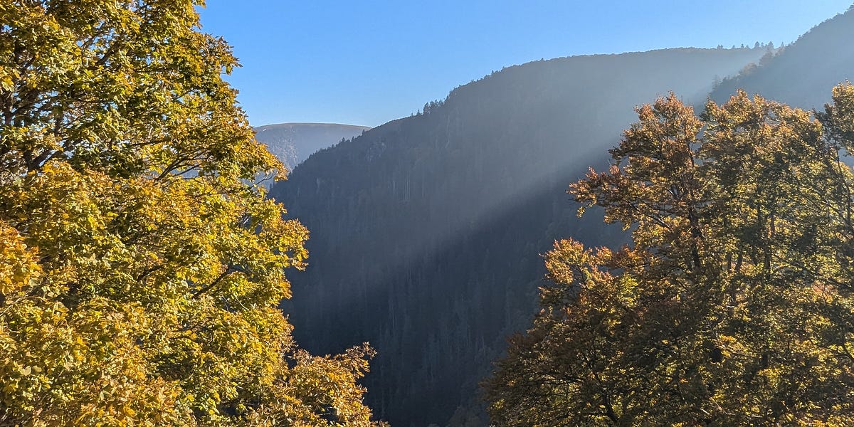 2) a majestic drive thumbnail