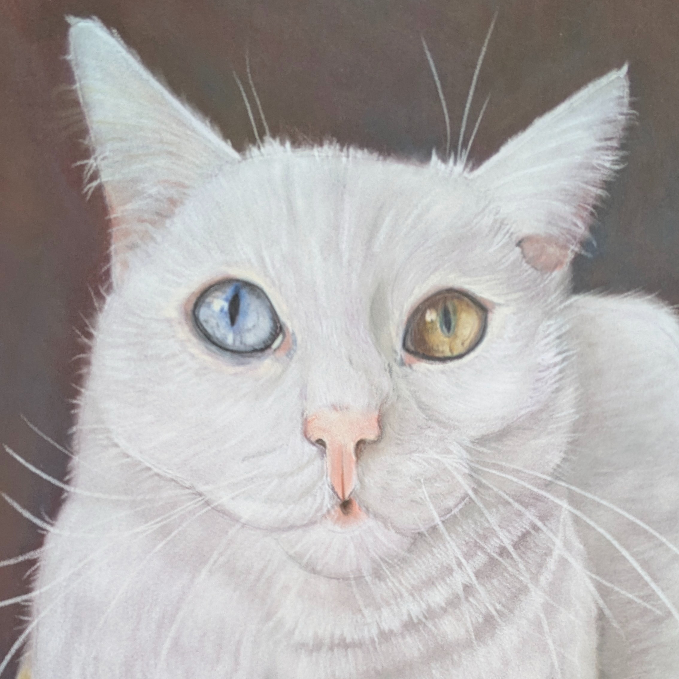 COMMISSIONI RITRATTI ANIMALI  thumbnail