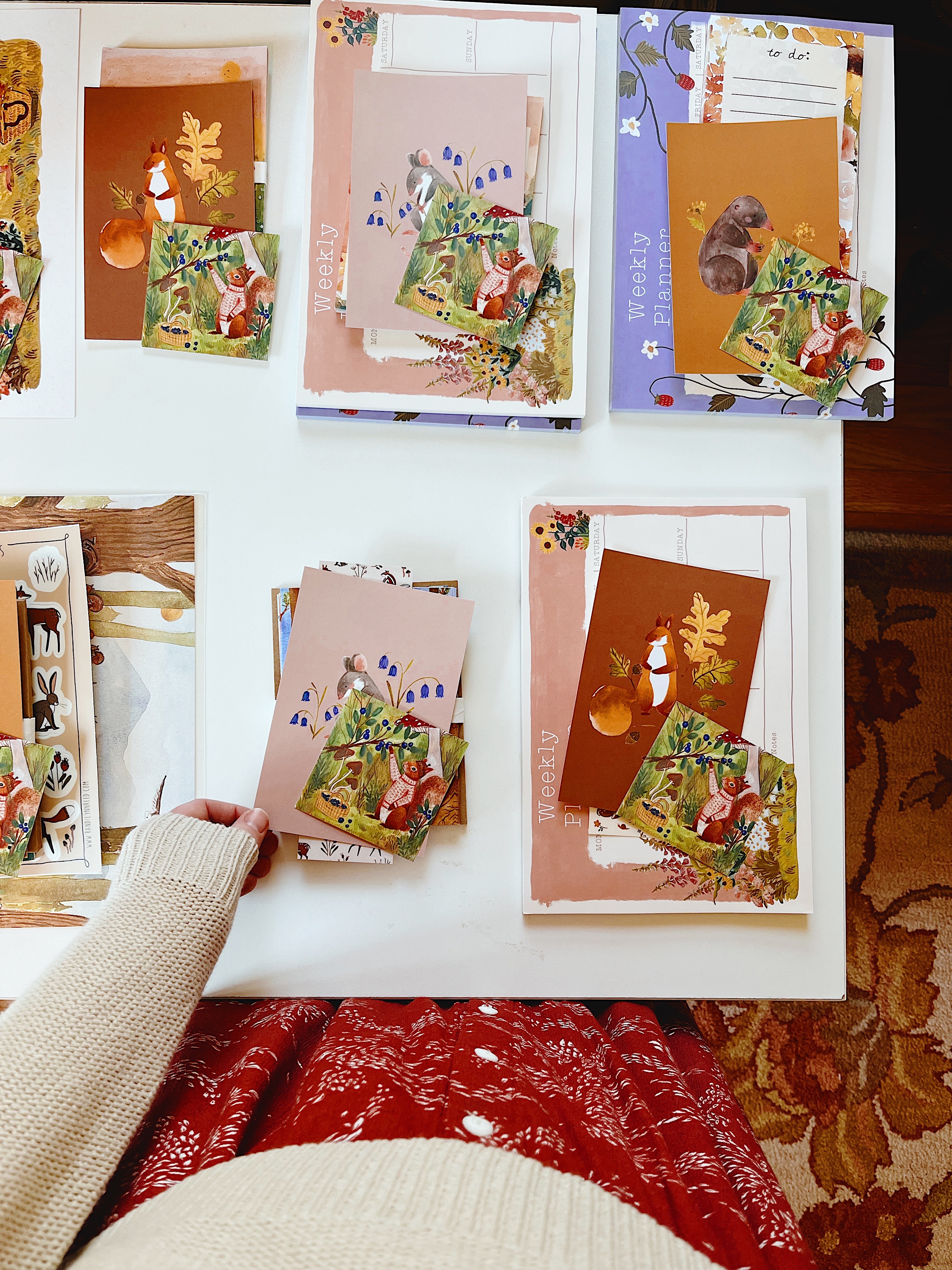 Website & Shop  thumbnail