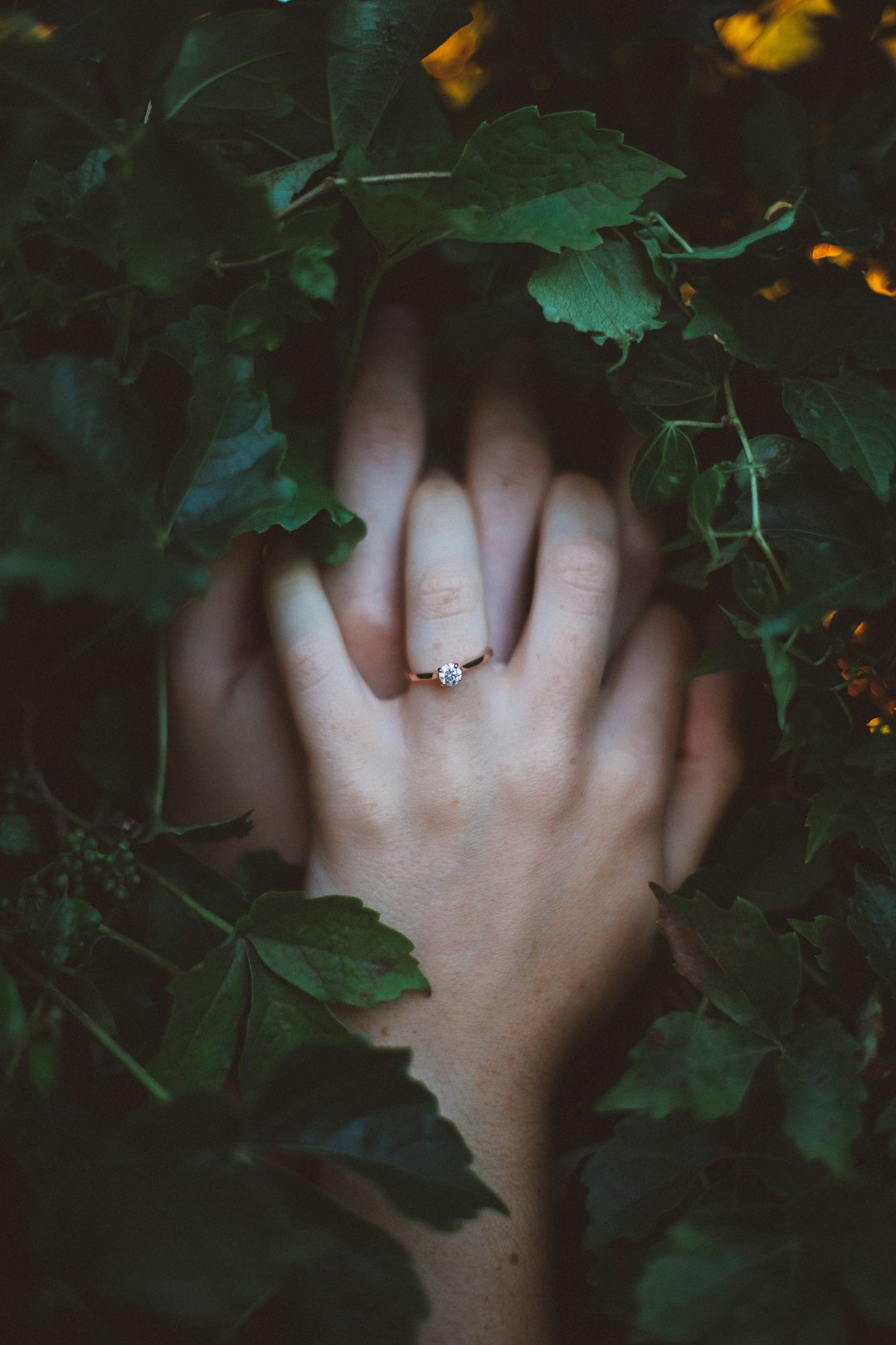 The Engaged Couple thumbnail