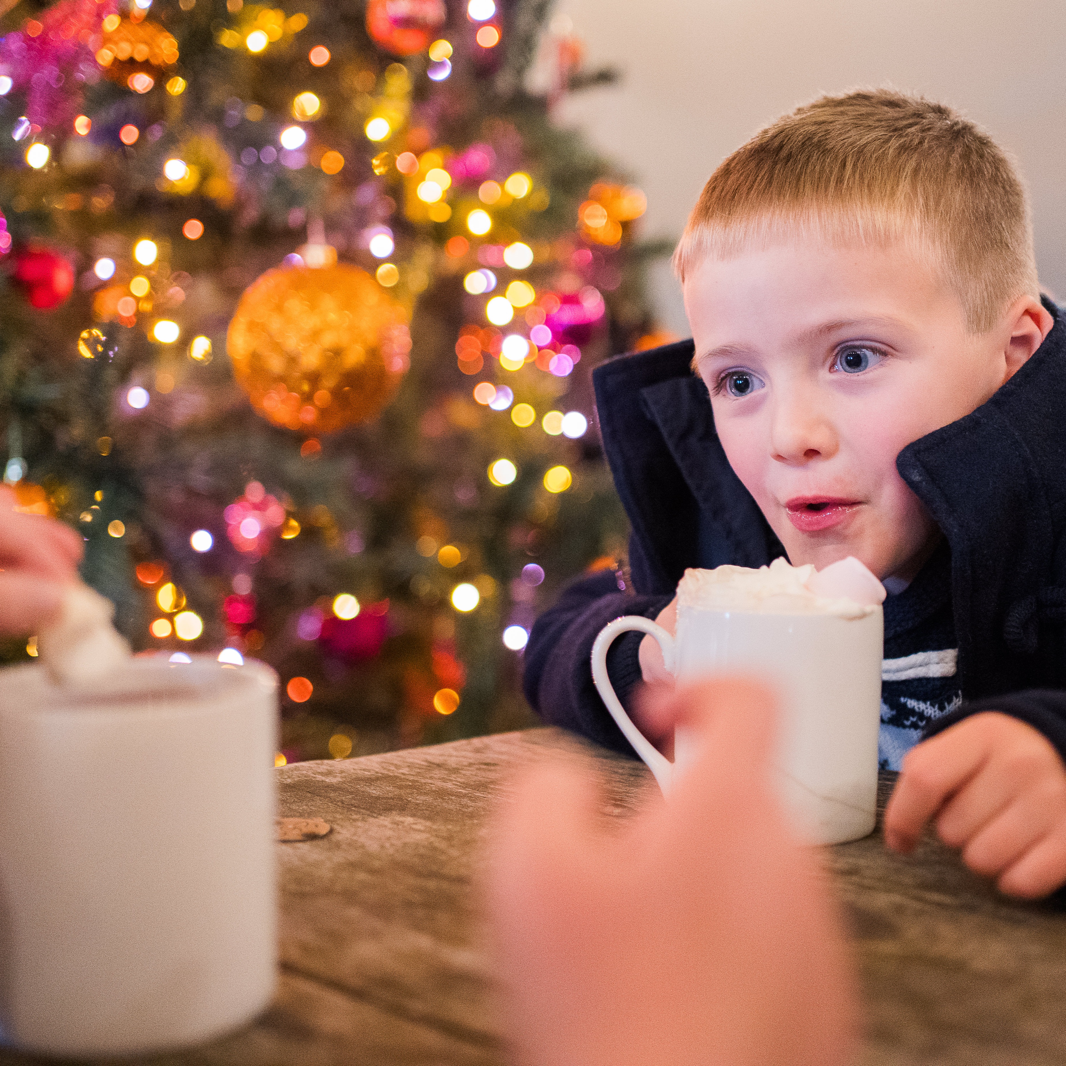 Sip on seasonal drinks at our merry bar and feast on mouth-watering street food delights. thumbnail