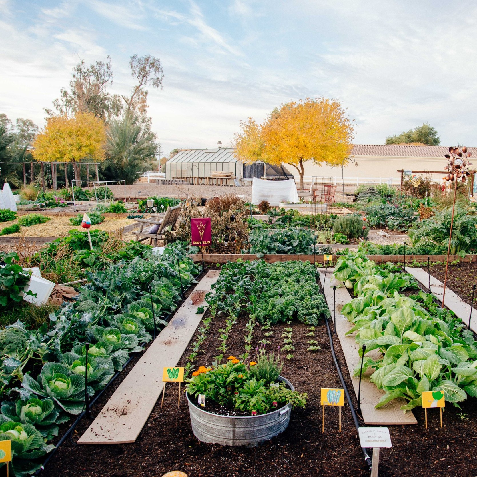 Agritopia Farm Website thumbnail