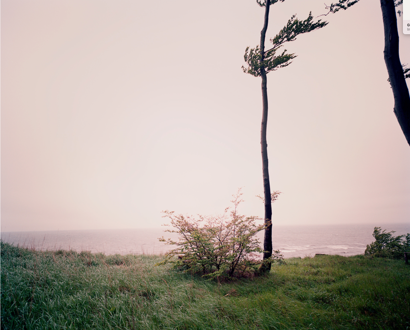 FINE ART thumbnail
