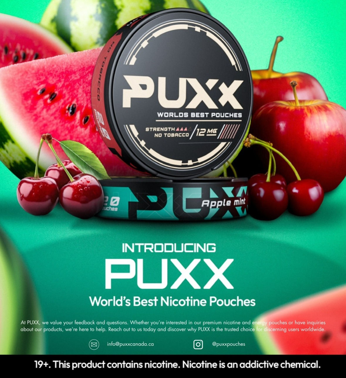 Get 5% OFF PUXX Pouches // Plus 3 Day Shipping in Canada thumbnail