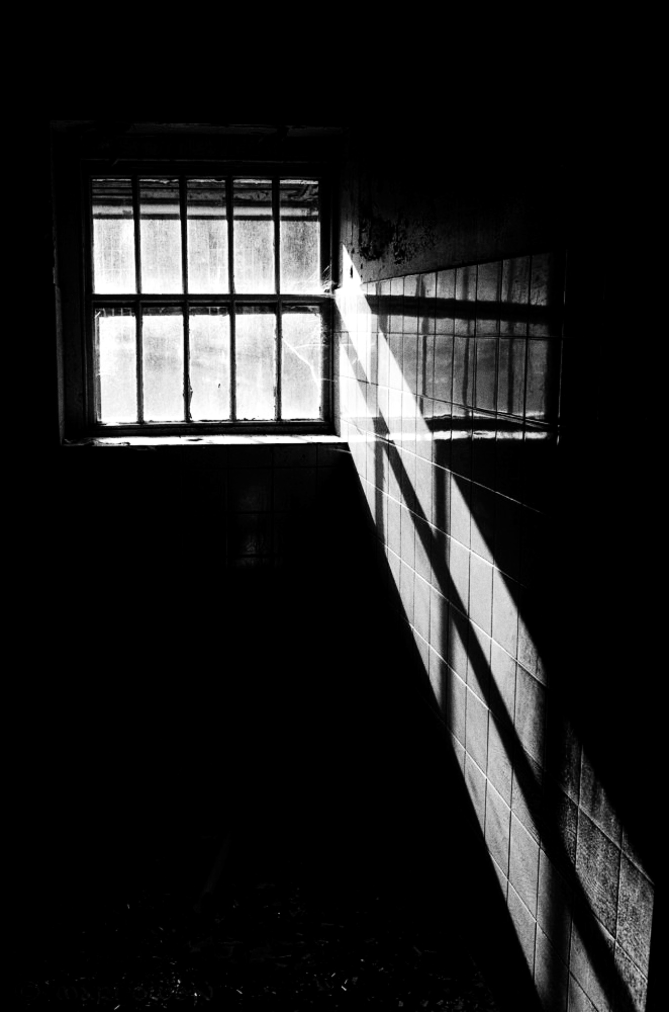 PRESENTED TO YOU. thumbnail