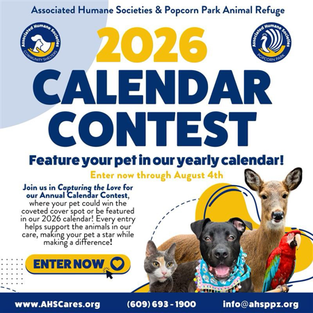 Calendar Contest Entry!  thumbnail