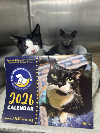 2026 Calendar  thumbnail