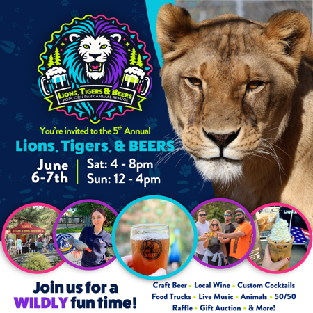 Lions, Tigers & Beers Tickets  thumbnail