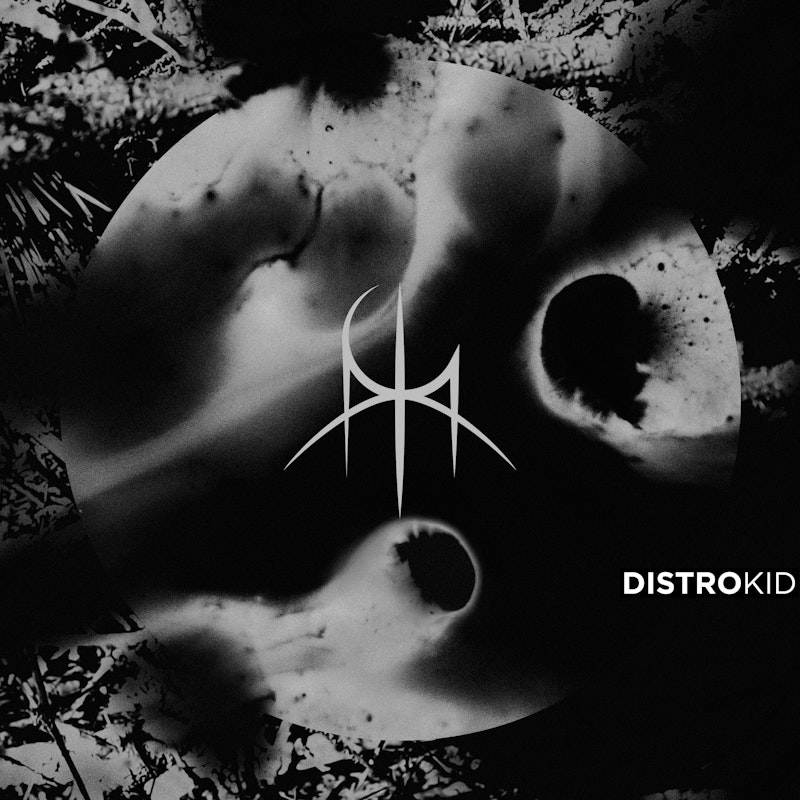 Stream: VOID thumbnail