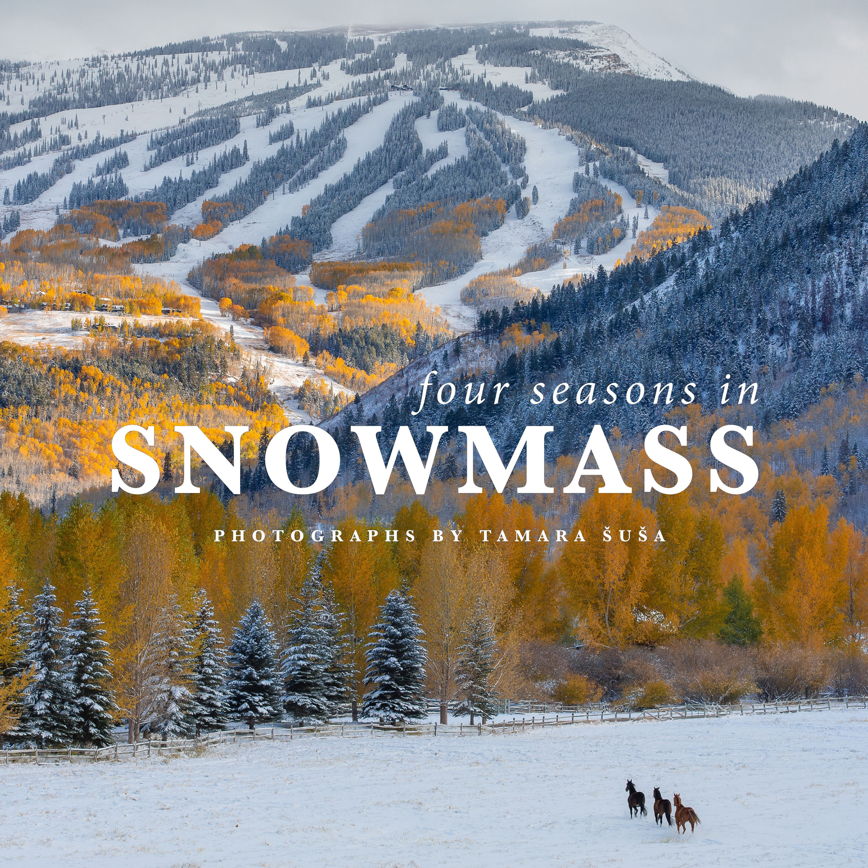 Four Seasons in Snowmass Book thumbnail