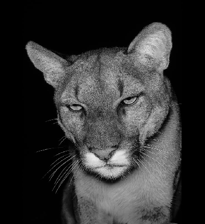 melhore sua aparencia thumbnail