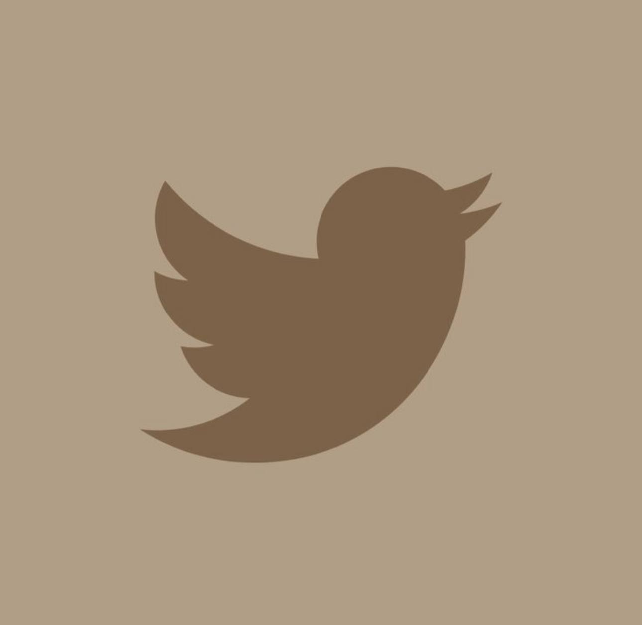 X / twitter  thumbnail