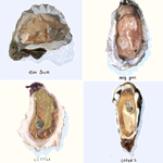 A State-by-State Guide to the South’s 35 Best Oysters thumbnail