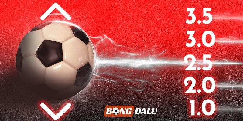 Bongdalu thumbnail