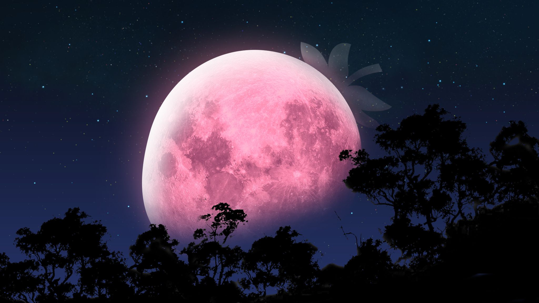 Strawberry Full Moon Gathering | June 11th thumbnail