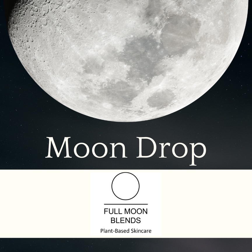 December Moon Drop e-Newsletter thumbnail