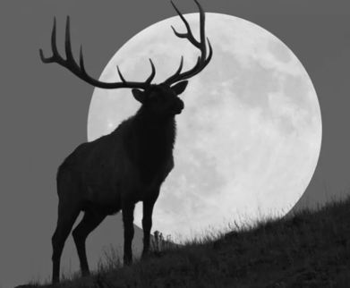 Buck Full Moon Gathering | July 10th thumbnail