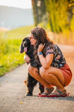 Link zum Angebot thumbnail