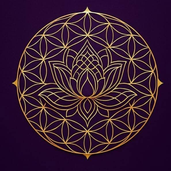 Mental Milion 520 - Bio Site thumbnail